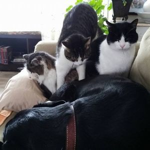 Meet your Posher, Janet